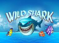 Wild Shark